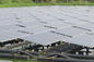 Bảng điều khiển năng lượng mặt trời mono 320W Fish Pond Hệ thống điện năng lượng mặt trời dân cư 3,2 Mm Kính cường lực dày